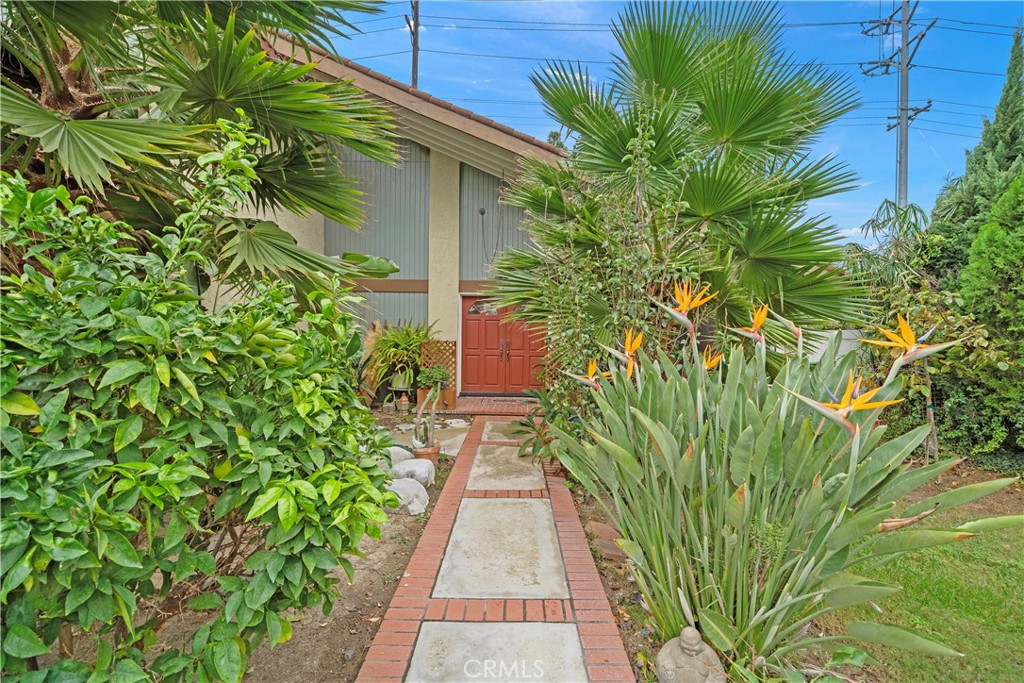 Lush palms, birds of paradise, and plumeria frame the brick-accented walkway leading to double entry doors - 622 W Alpine Avenue, Santa Ana CA 92707 - photo 3