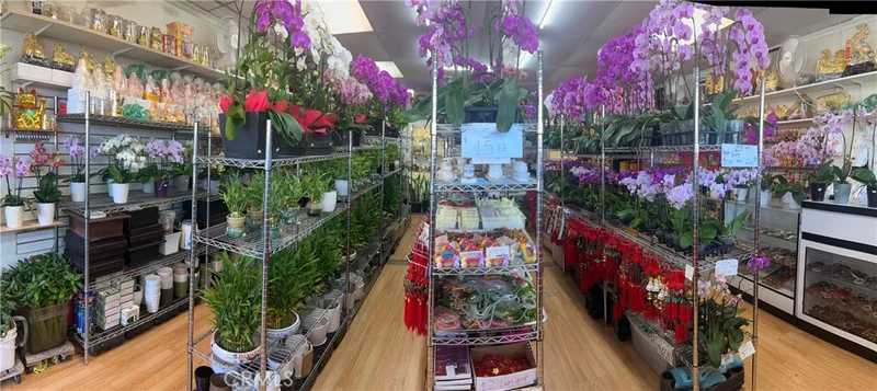 Westminster, Santa Ana, CA 92703