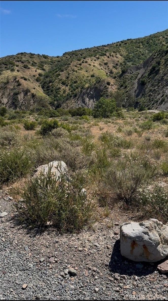 Hiking trails all around Silverado Canyon! - 29501 Silverado Canyon Road, Silverado Canyon CA 92676 - photo 43