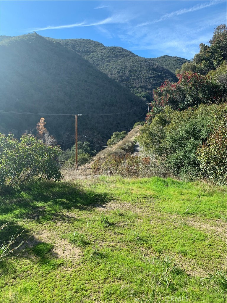 Property View - 30409 Silverado Canyon Road, Silverado Canyon CA 92676 - photo 1