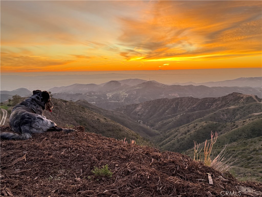 Views for days from the property of hills, ocean and Catalina! - 16 Williams Canyon, Silverado CA 92676 - photo 16