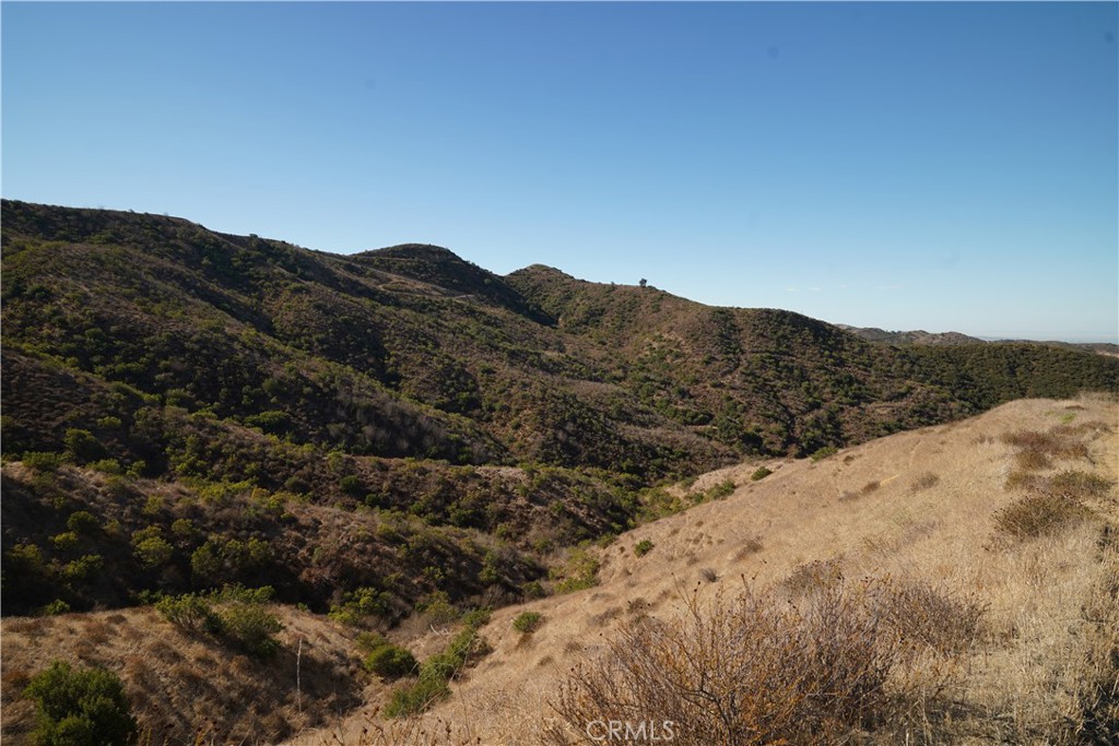 Beautiful Orange County land! - 16 Williams Canyon, Silverado CA 92676 - photo 15