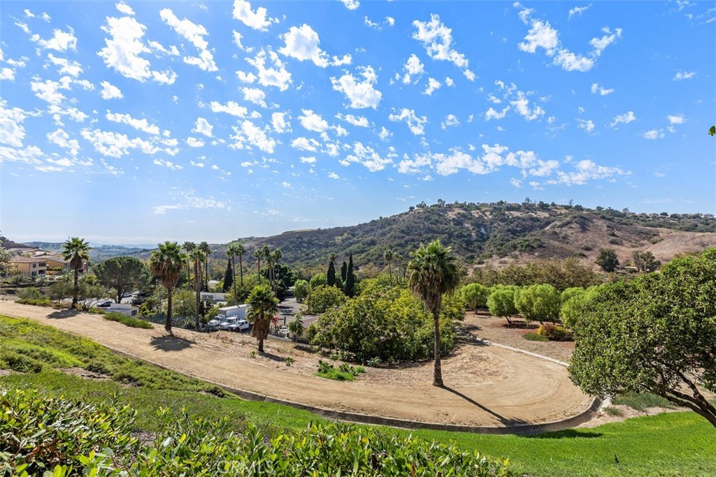 Trail - 19801 Meadow Ridge Dr 57, Trabuco Canyon CA 92679 - photo 29