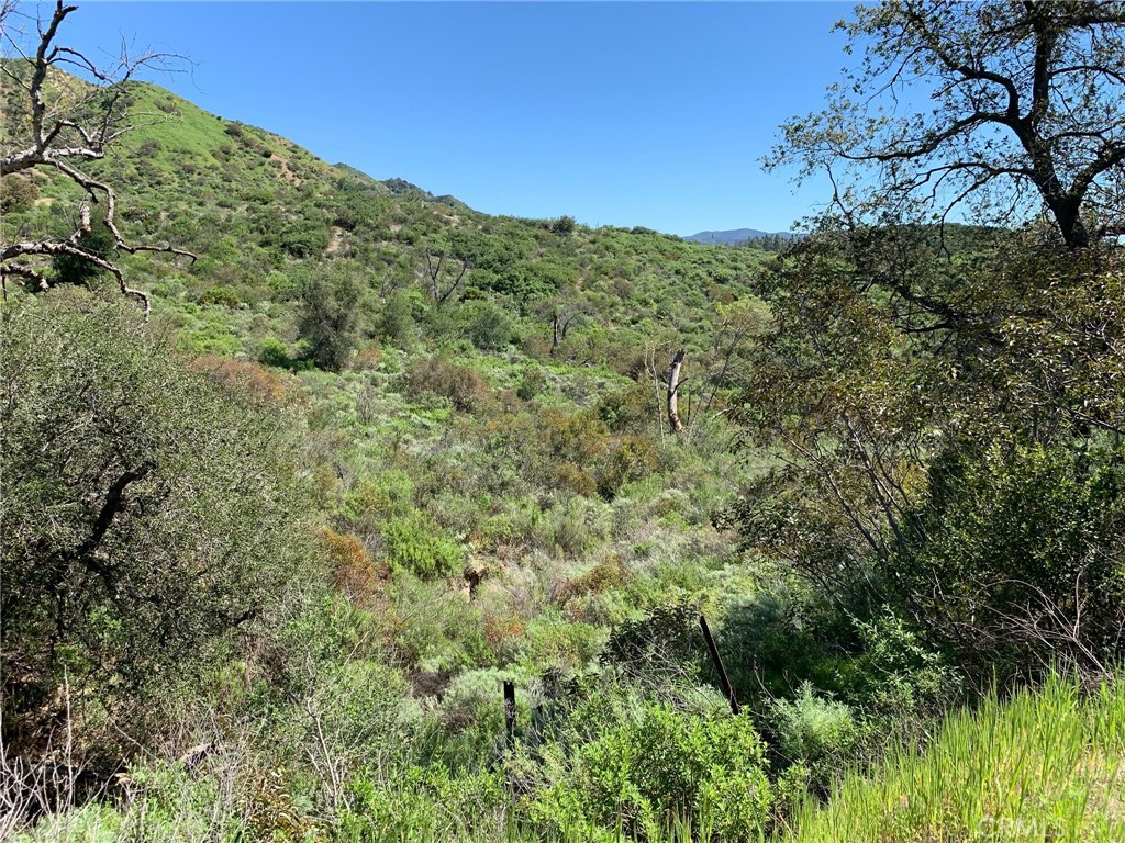 30221 4 Lot Old Stage Road, Trabuco Canyon CA 92676 - photo 3