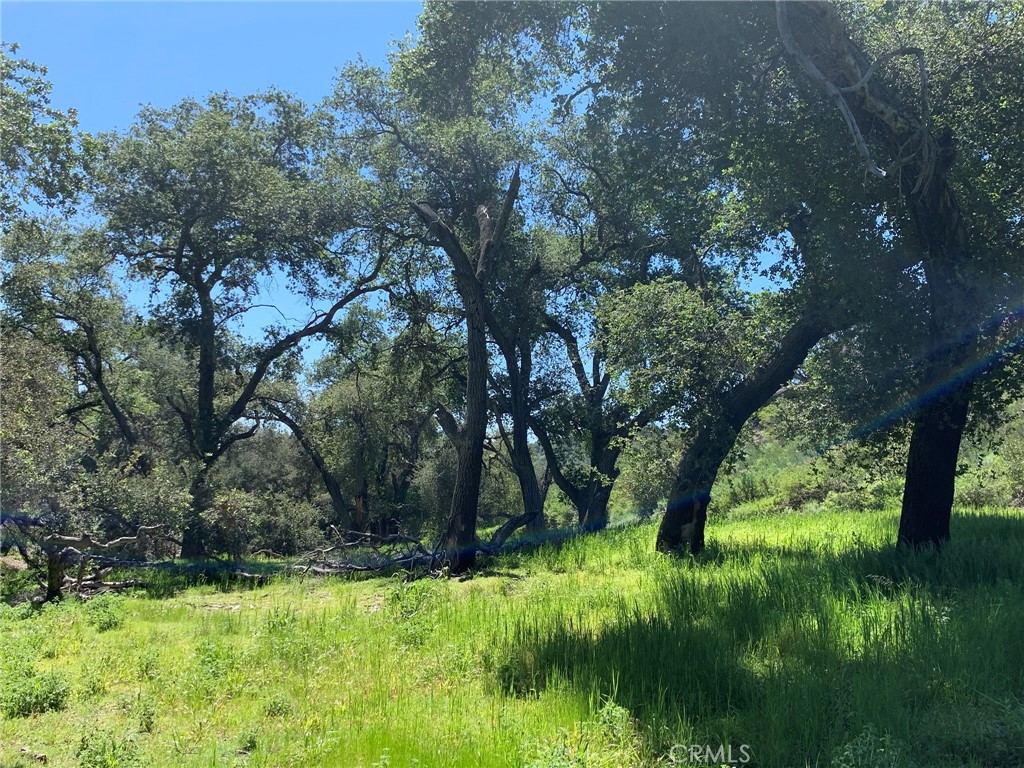 30221 Old Stage Road, Trabuco Canyon CA 92676 - photo 2