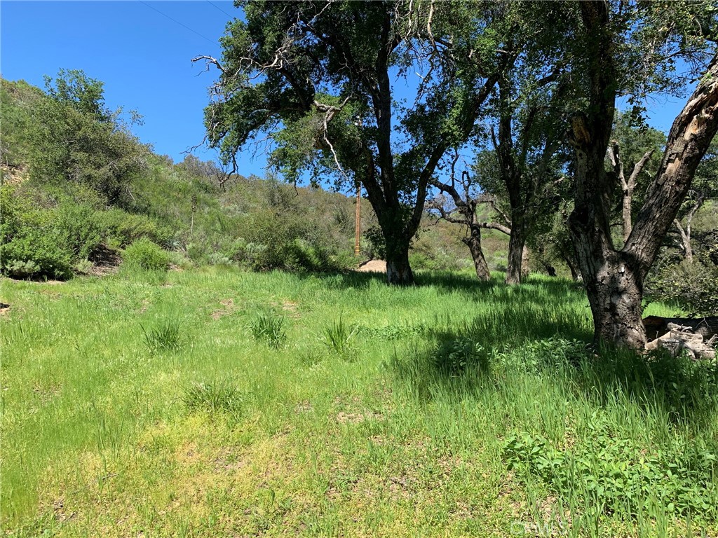 30221 Old Stage Road, Trabuco Canyon CA 92676 - photo 3
