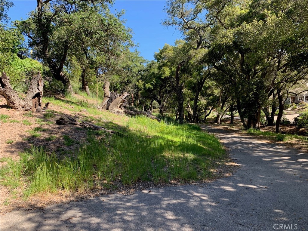 30221 Old Stage Road, Trabuco Canyon CA 92676 - photo 4
