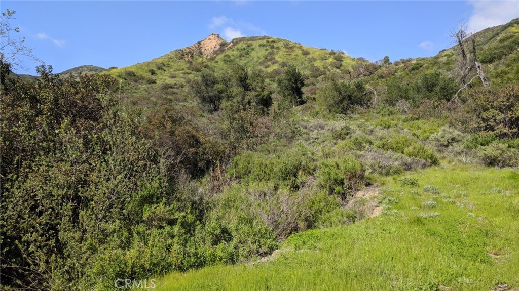 30221 Old Stage Road, Trabuco Canyon CA 92676 - photo 5