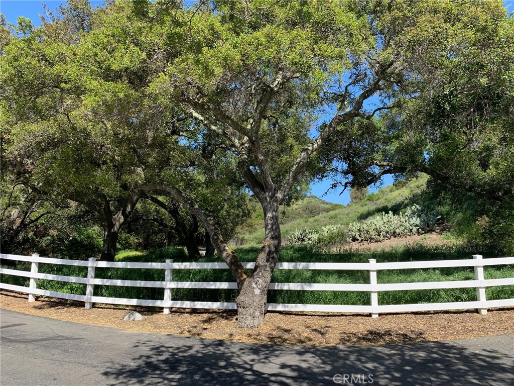 30221 Old Stage Road, Trabuco Canyon CA 92676 - photo 7