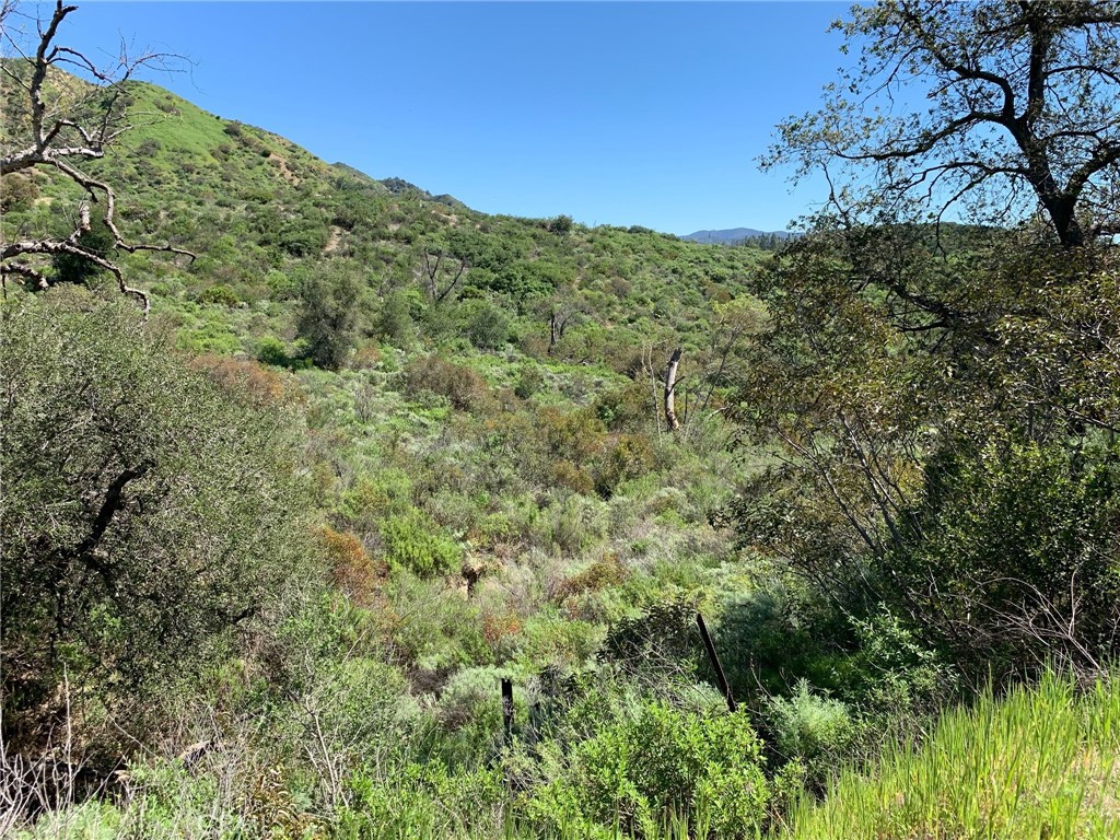 30221 Old Stage Road, Trabuco Canyon CA 92676 - photo 8