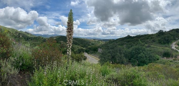 30221 Old Stage Road, Trabuco Canyon CA 92676 - photo 9