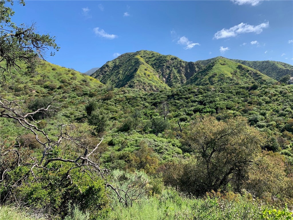30221 Old Stage Road, Trabuco Canyon CA 92676 - photo 10