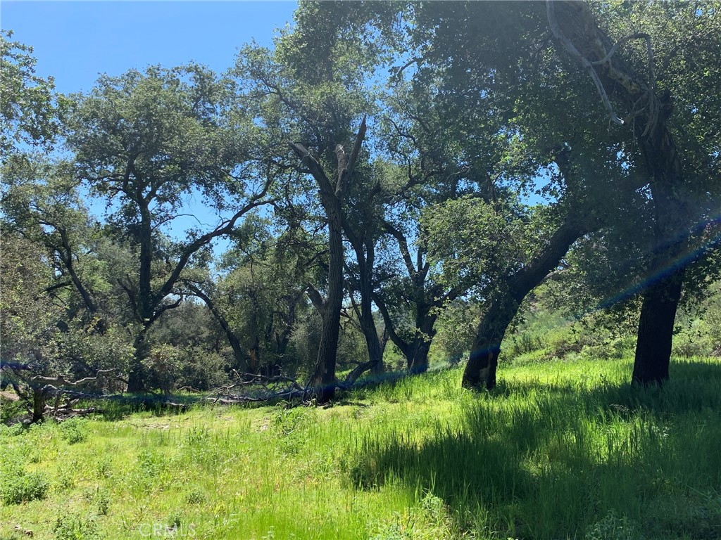 30271 Old Stage Road, Trabuco Canyon CA 92676 - photo 2