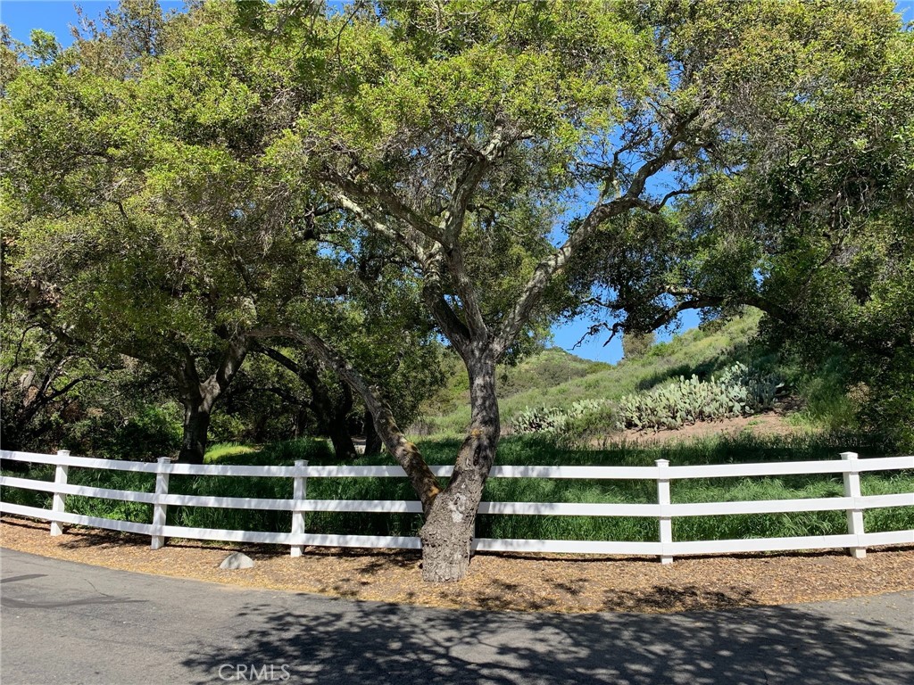 30271 Old Stage Road, Trabuco Canyon CA 92676 - photo 6