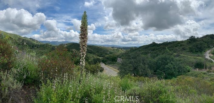 30271 Old Stage Road, Trabuco Canyon CA 92676 - photo 9