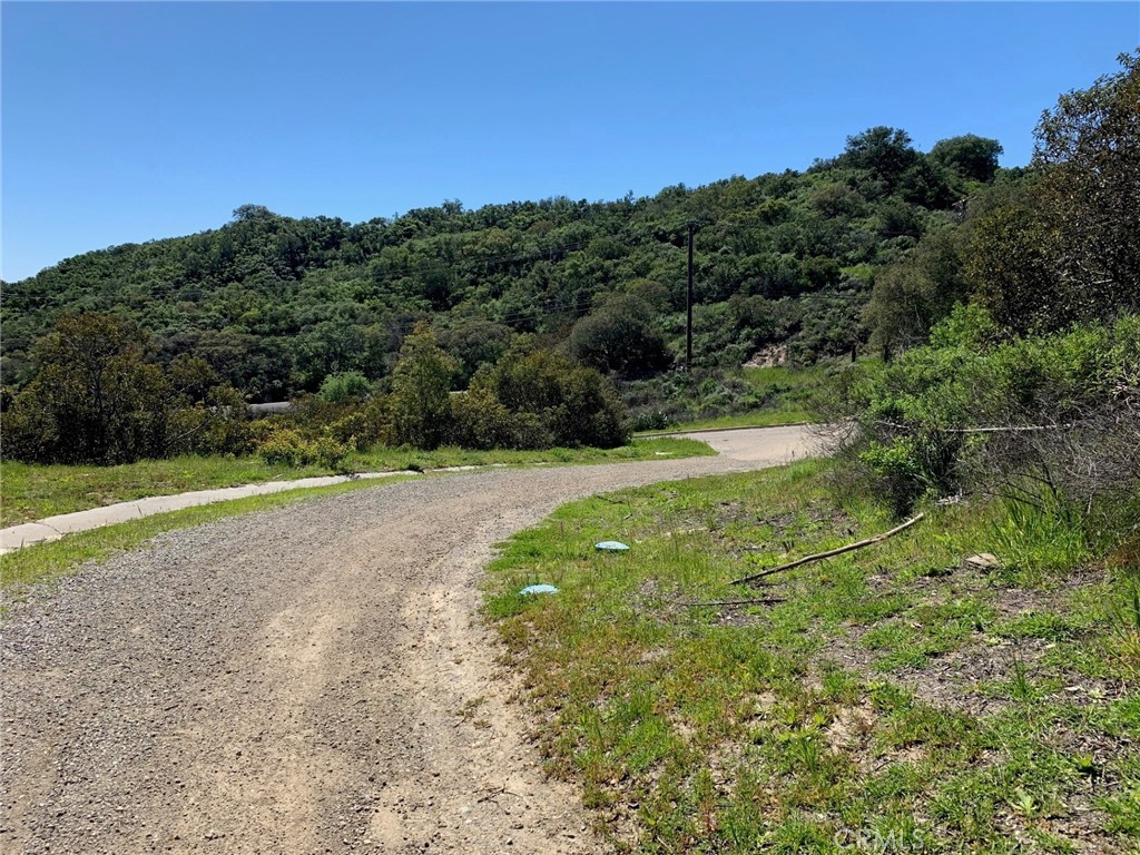 30271 Old Stage Road, Trabuco Canyon CA 92676 - photo 11