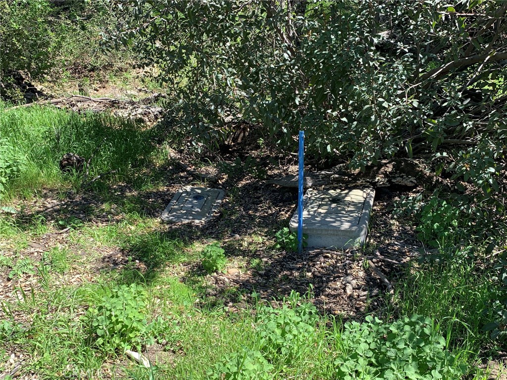 30271 Old Stage Road, Trabuco Canyon CA 92676 - photo 13