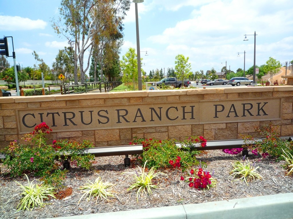 11739 Willard Avenue, Tustin CA 92782 - photo 53
