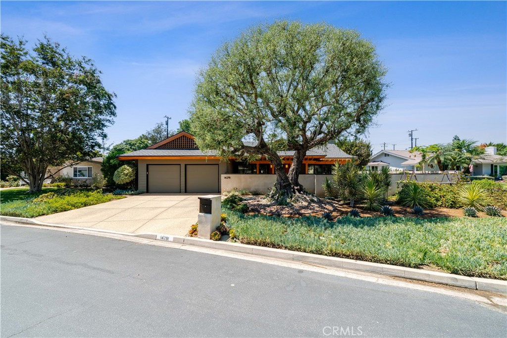 A striking mid-century modern profile is framed by mature landscaping, including a sculptural tree that creates a dramat - 14291 Wisteria Lane, Tustin CA 92780 - photo 1