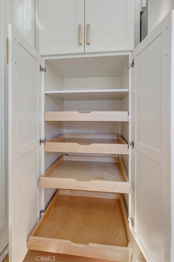Pantry lots of convenient pullouts - 14412 GRASSMERE, Tustin CA 92780 - photo 14