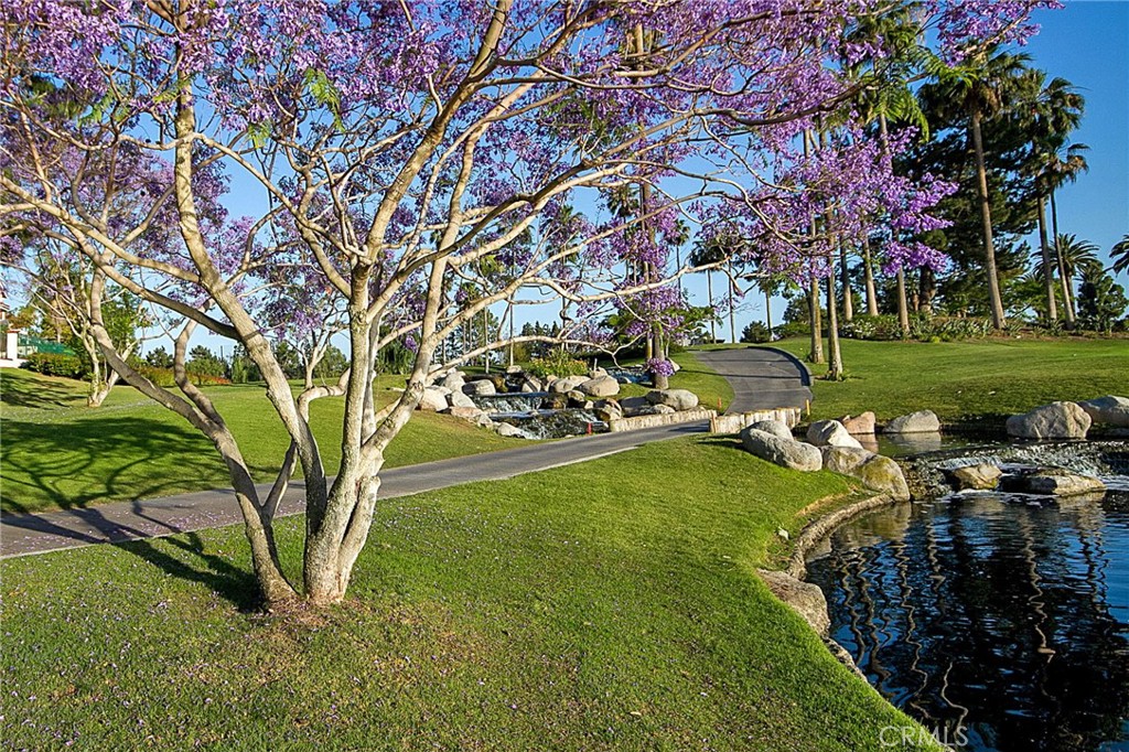 2491 Aquasanta, Tustin CA 92782 - photo 64
