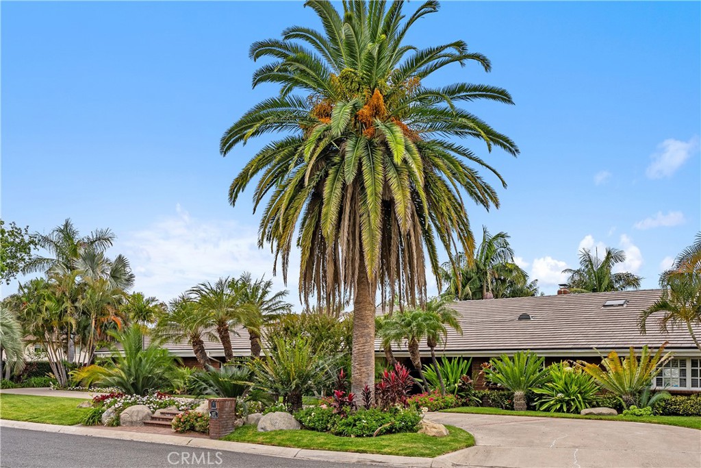 Circular driveway - 10371 Balliet Drive, Villa Park CA 92861 - photo 4