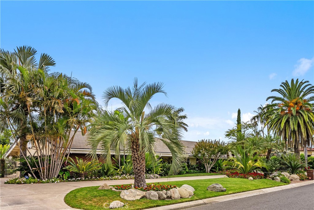 Another view of the circular driveway - 10371 Balliet Drive, Villa Park CA 92861 - photo 40