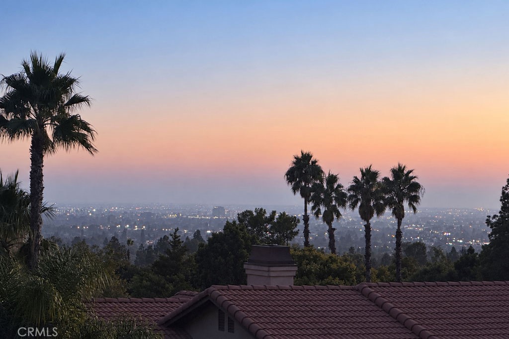 19041 Cerro Villa Drive, Villa Park CA 92861 - photo 69