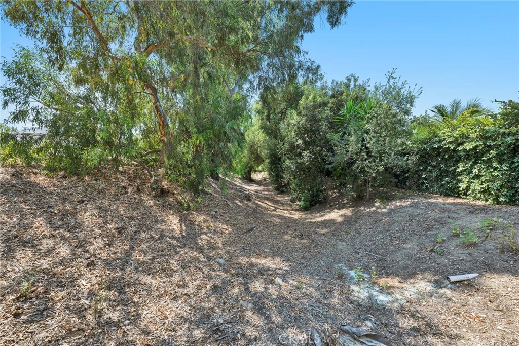 9641 Janice, Villa Park CA 92861 - photo 11