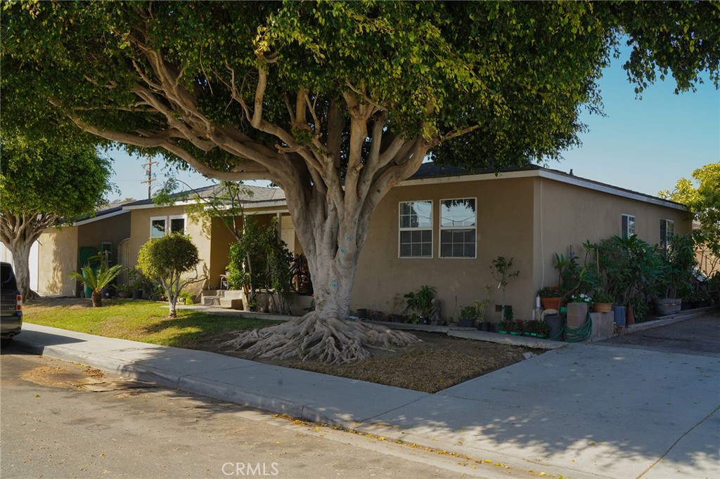 multiple units. - 14142 Locust, Westminster CA 92683 - photo 6