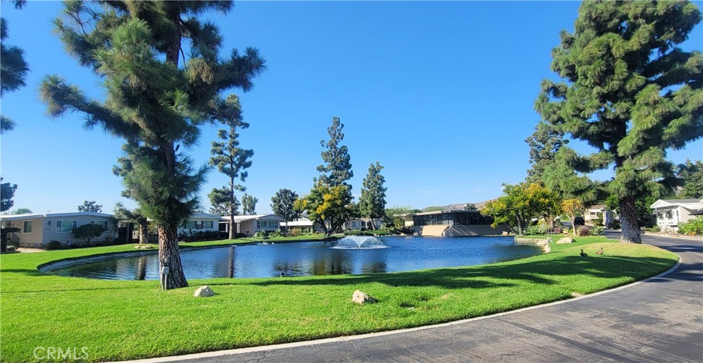 Love the Lake and Our Ducks! - 16757 Lake Terrace Way, Yorba Linda CA 92886 - photo 54