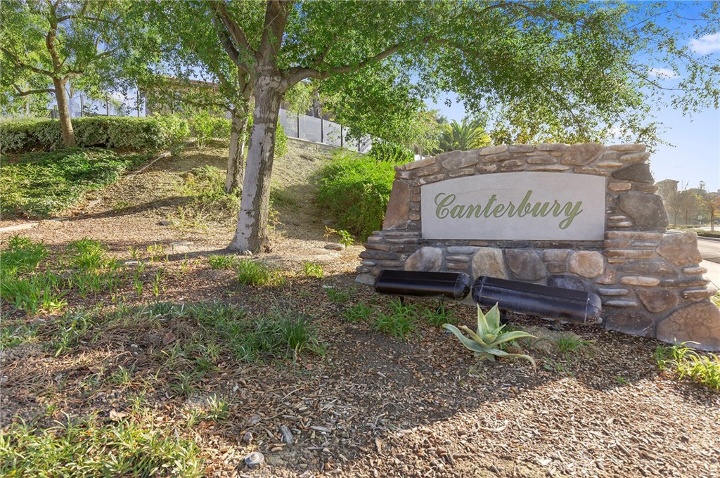 17206 Coriander Court, Yorba Linda CA 92886 - photo 58
