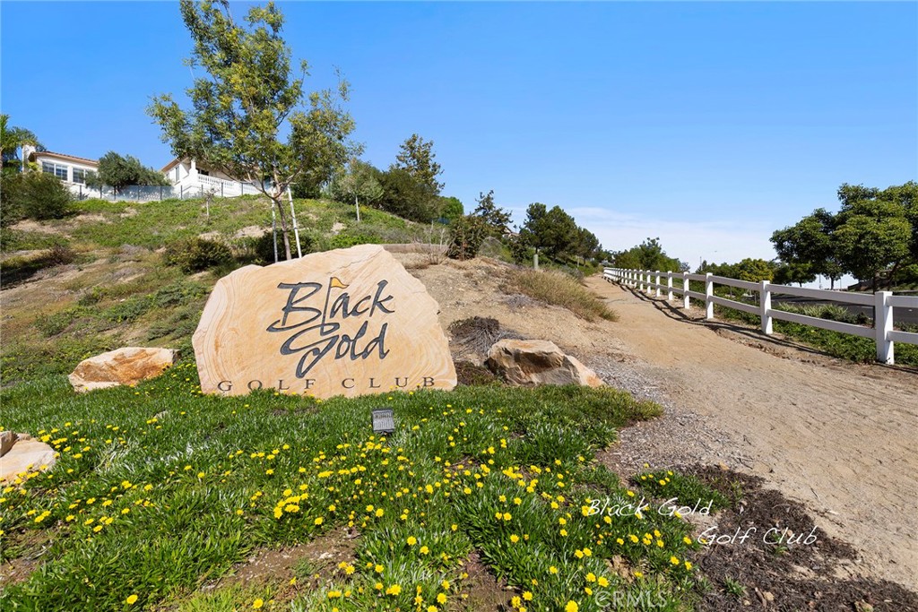 17206 Coriander Court, Yorba Linda CA 92886 - photo 62