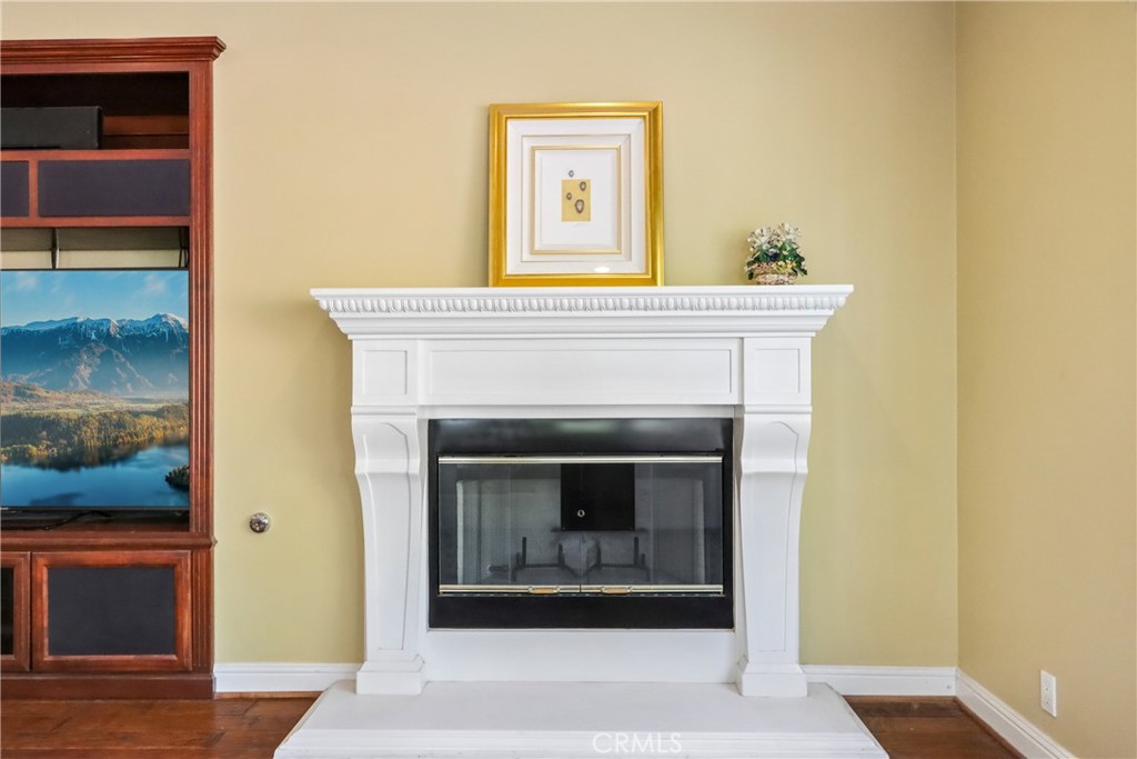 Family Room - 17218 Blue Spruce, Yorba Linda CA 92886 - photo 15