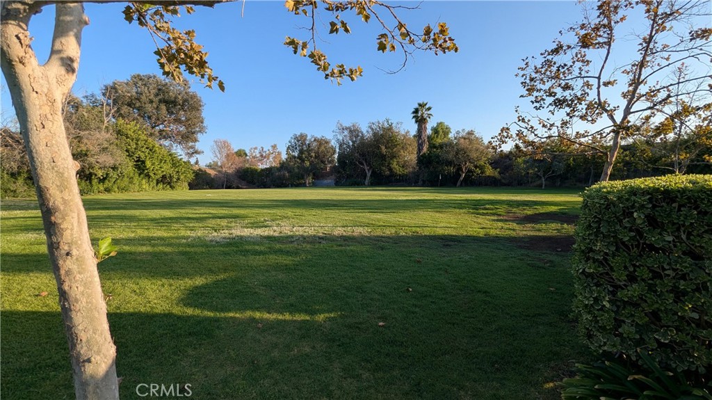 Community - Dog Area - 19216 Alamo Lane, Yorba Linda CA 92886 - photo 23