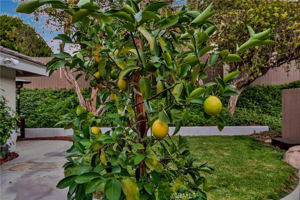 19412 Shadow Hill, Yorba Linda CA 92886 - photo 40