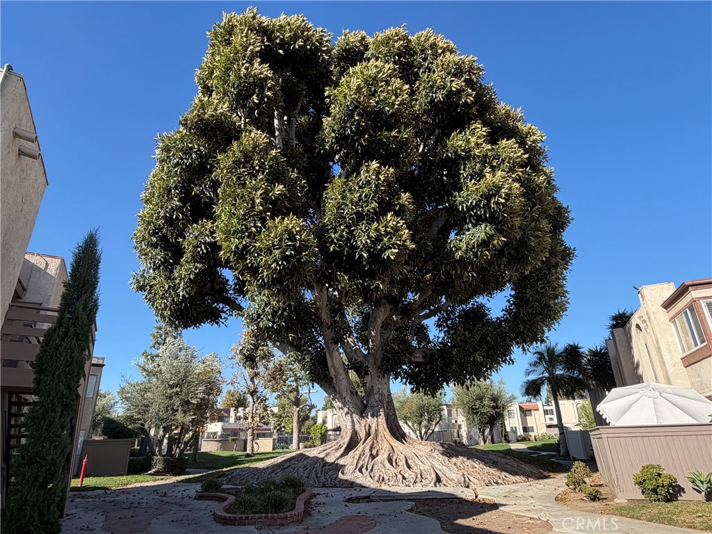 212 S. Kraemer Boulevard 2502, Yorba Linda CA 92870 - photo 12