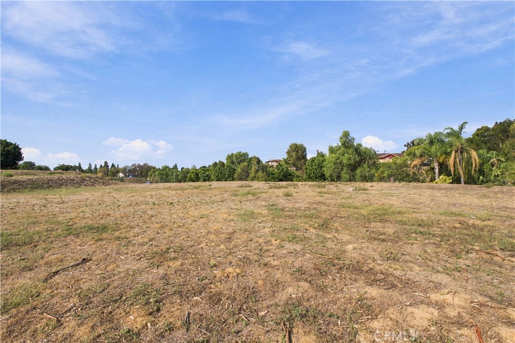 4960 Yorba Vista, Yorba Linda CA 92886 - photo 10