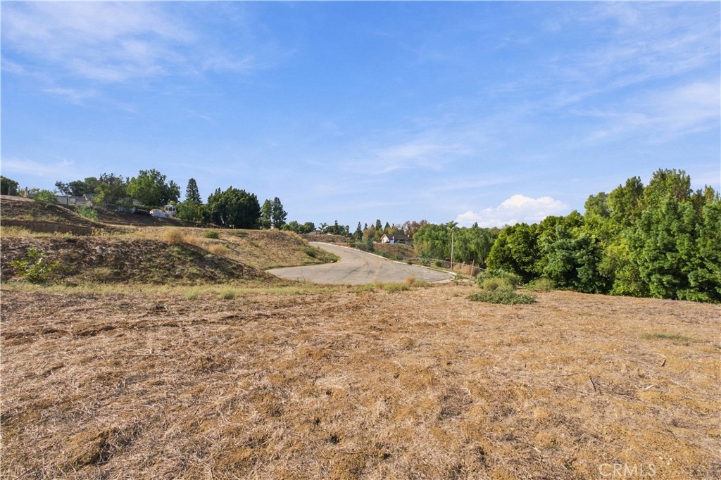 4960 Yorba Vista, Yorba Linda CA 92886 - photo 11