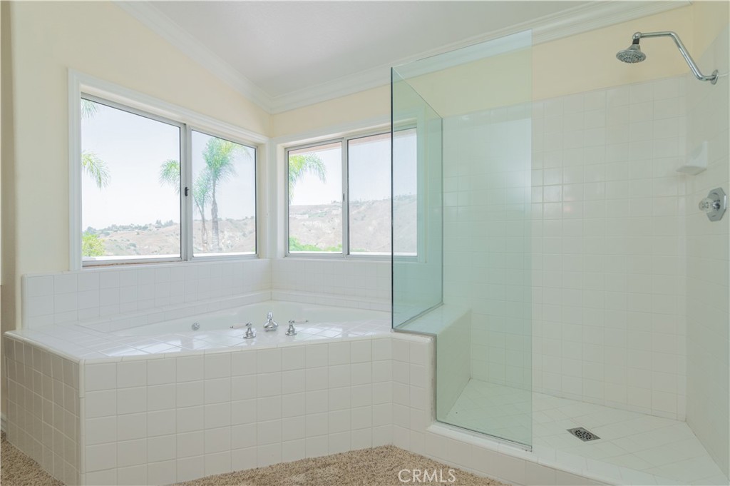 5225 Avenida De Kristine, Yorba Linda CA 92887 - photo 36