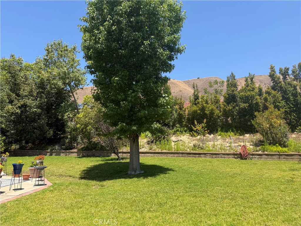 Right side yard showing the corner of the patio. - 5505 Green Hollow Lane, Yorba Linda CA 92887 - photo 20