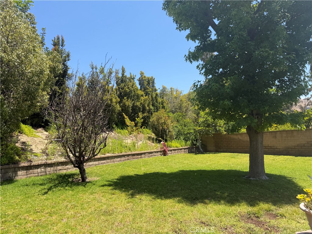 View from the edge of the patio looking toward far right corner of the yard with several fruit and shade trees. - 5505 Green Hollow Lane, Yorba Linda CA 92887 - photo 21